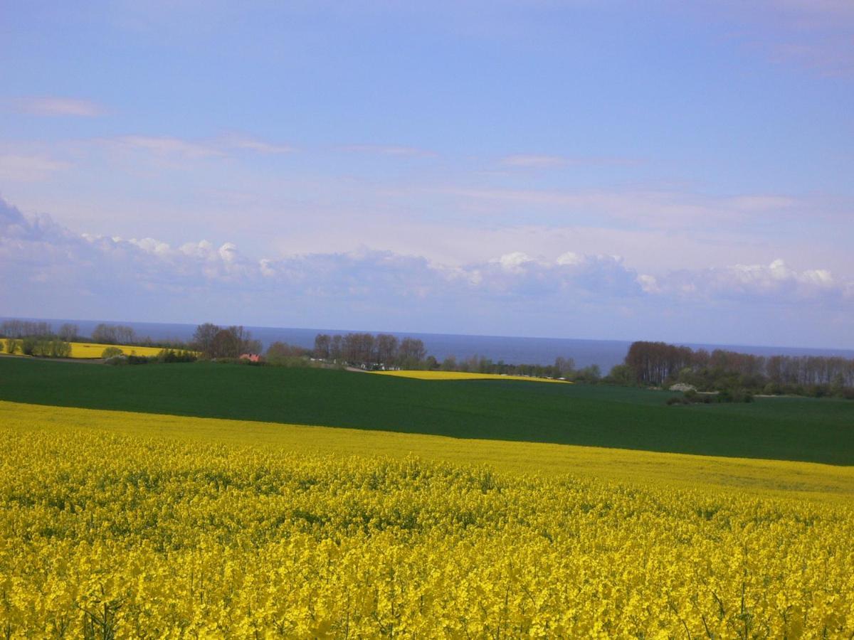 Blockhaus Villa Kägsdorf Buitenkant foto